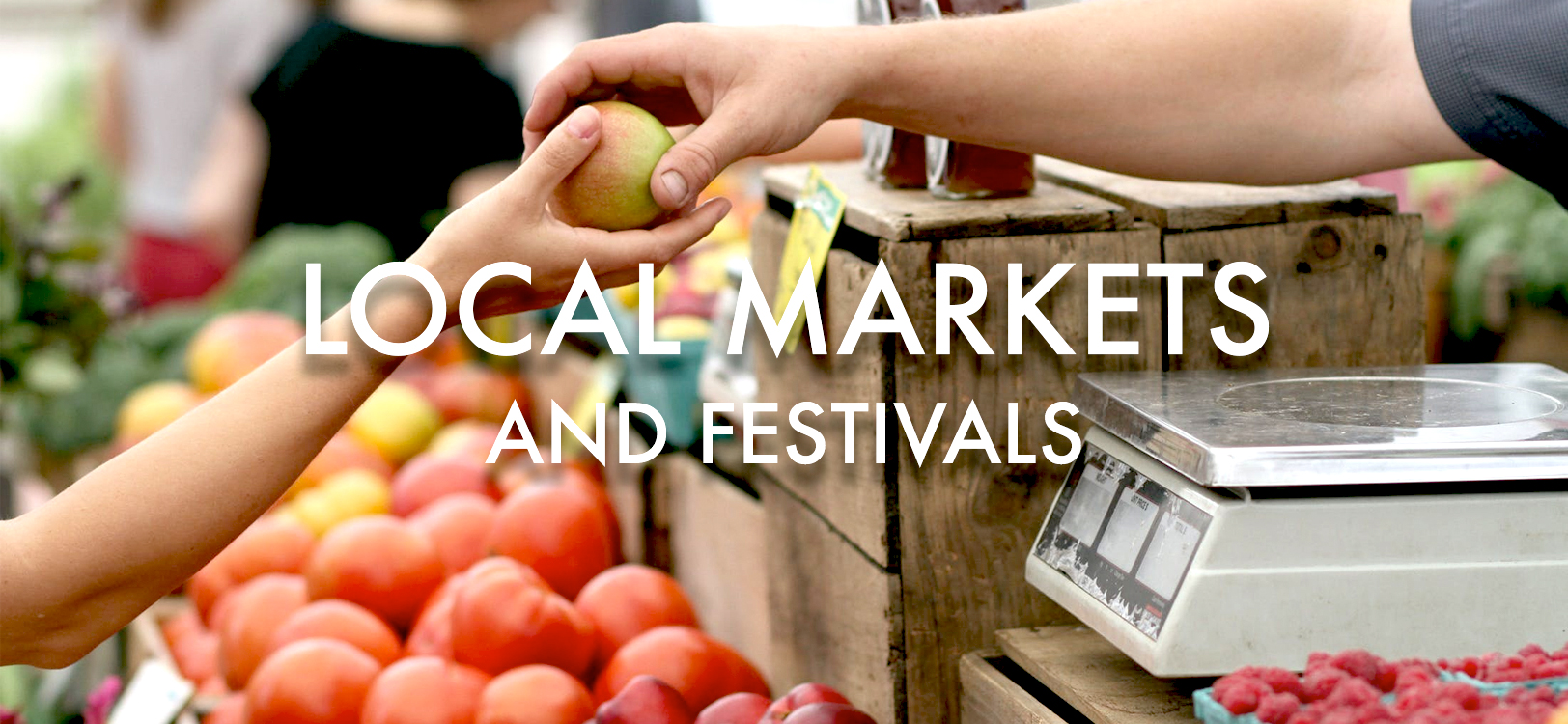All the latest information and news about local markets and festivals